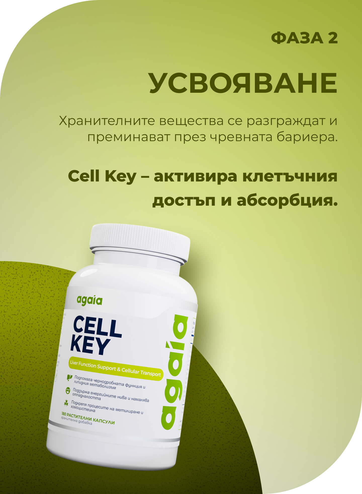 agaia-фаза-2-усвояване-new